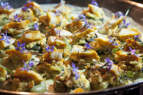 Gratin de Haddock