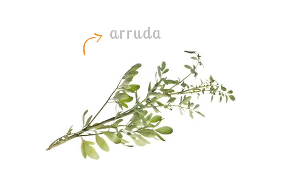 cz-decoracao-casa-ervas-arruda