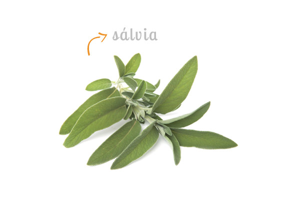 cz-decoracao-casa-ervas-salvia