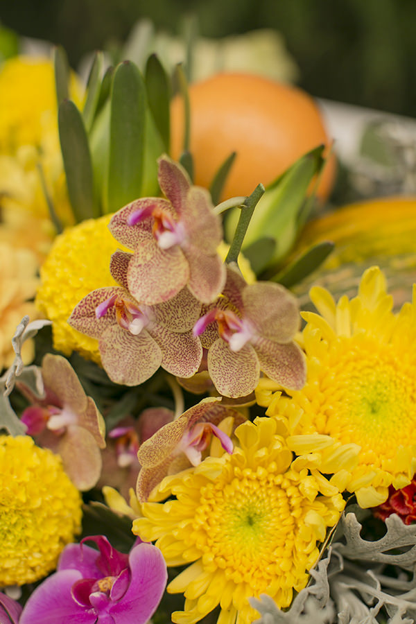 almoco-de-verao-manioca-mesa-posta-fabiana-moura-flores-lucia-milan-5