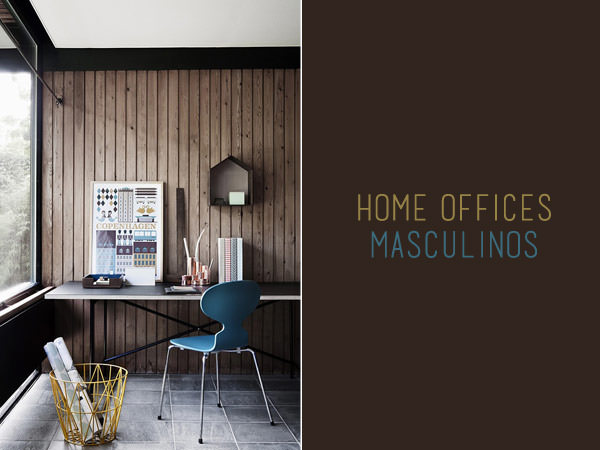 home-offices-masculinos-1