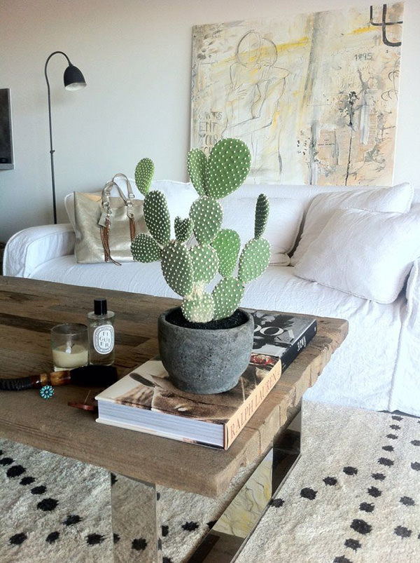 cactus-na-decoracao-8