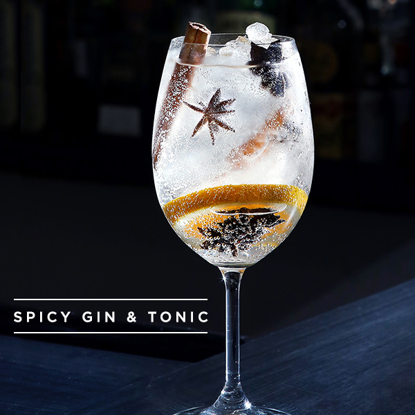 receita-drink-brothers-bar-spicy-gin-and-tonic